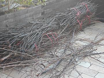 legna da ardere imballata