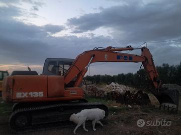 Fiat Hitachi ex 135 escavatore