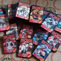 Raccolta dvd boxe