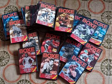 Raccolta dvd boxe