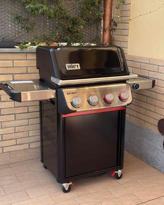 Barbecue weber a gas