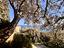 Immagine 21
