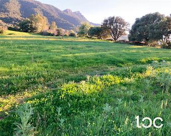 Terreno agricolo a Torpè