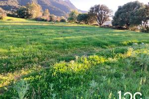 Terreno agricolo a Torpè