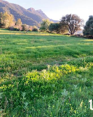 Terreno agricolo a Torpè