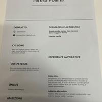 Commessa,lavapiatti,babysitter