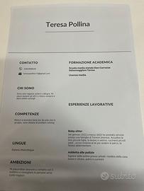 Commessa,lavapiatti,babysitter