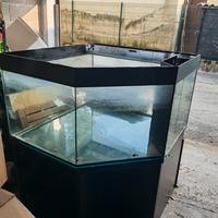 acquario 600 litri 