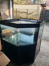 acquario 600 litri 