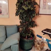 vaso ornamentale con pianta finta