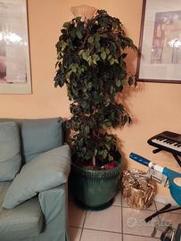 vaso ornamentale con pianta finta