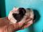 Immagine 4