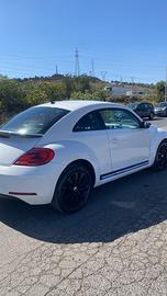 MAGGIOLINO DIESEL 2012