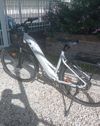bici elettrica