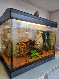 acquario 30L