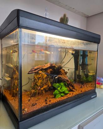 acquario 30L