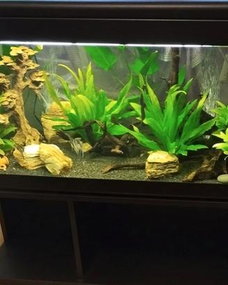 Acquario Koro, 190 litri