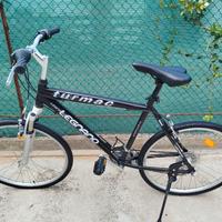 bicicletta Mountain bike