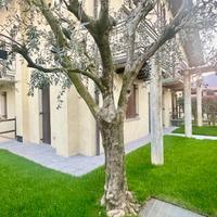 3 LOCALI A CORTE FRANCA