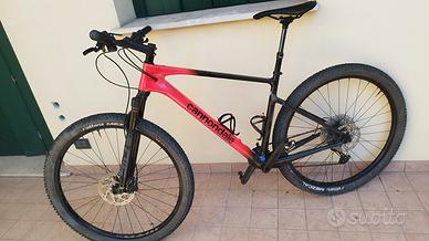 MTB TG.L CARBONIO 
