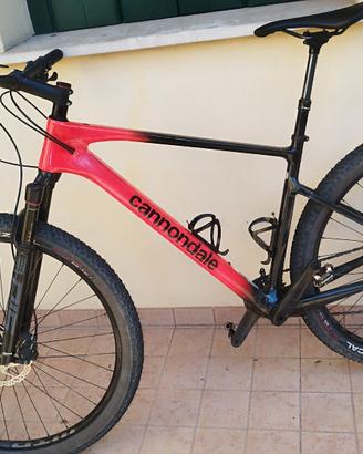 MTB TG.L CARBONIO 