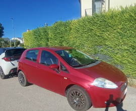 Fiat grande punto benzina/GPL neopatentati
