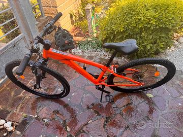 Mountain Bike (cerchi: 26)