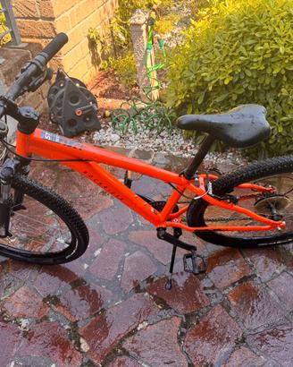 Mountain Bike (cerchi: 26)