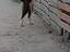 Immagine 3