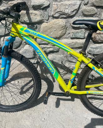 Mountain bike Torpado 29