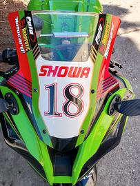 cupolino kawasaki ninja zx10r 2011 