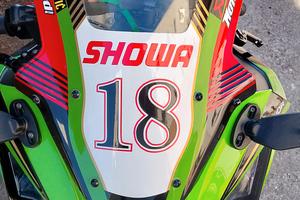 cupolino kawasaki ninja zx10r 2011 