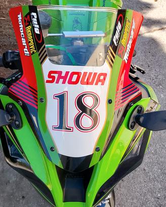 cupolino kawasaki ninja zx10r 2011 