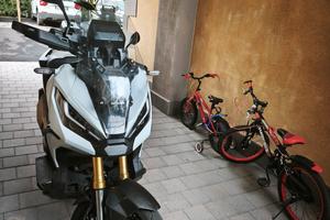 X ADV    12/2023     P.E.M.U.T.O