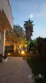 Villa singola - Noto