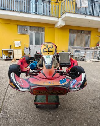 Go Kart 100cc