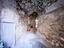 Immagine 27