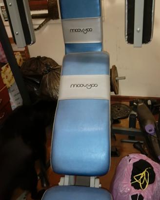 pesi foro grande da palestra e piccolo 220 kg per 