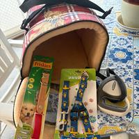 Accessori cane