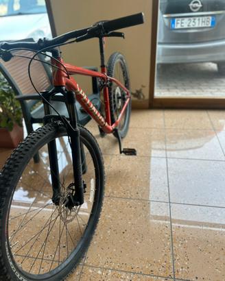 Bicicletta SPECIALIZED