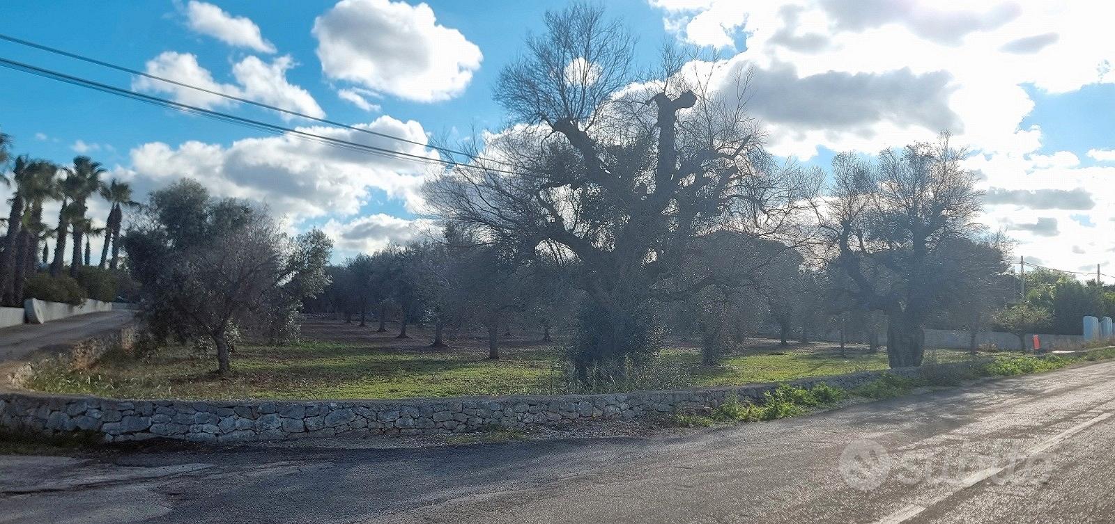 Terreno agricolo di 10822 m² edificabile e fraz - Vista 3
