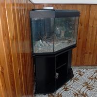 ACQUARIO AD ANGOLO