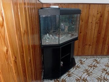 ACQUARIO AD ANGOLO