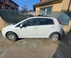 Fiat grande punto 1.3 mtj neo patentati