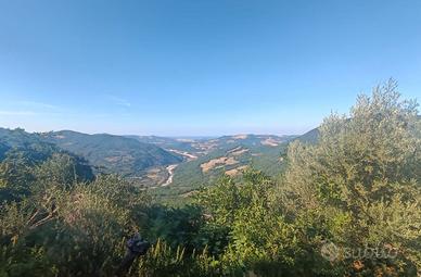 90mq con Vista Panoramica, Orto con Dependance