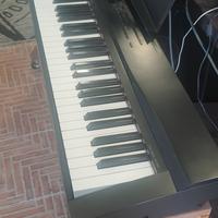 Piano digitale 88 tasti pesati.