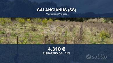Immobile in asta di 1088 m² a Calangianus