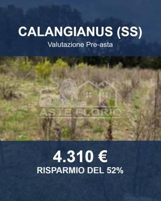 Immobile in asta di 1088 m² a Calangianus