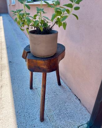 Sgabelli in tronco di abete 