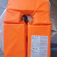 Giubbotto Salvagente Omologato 100N